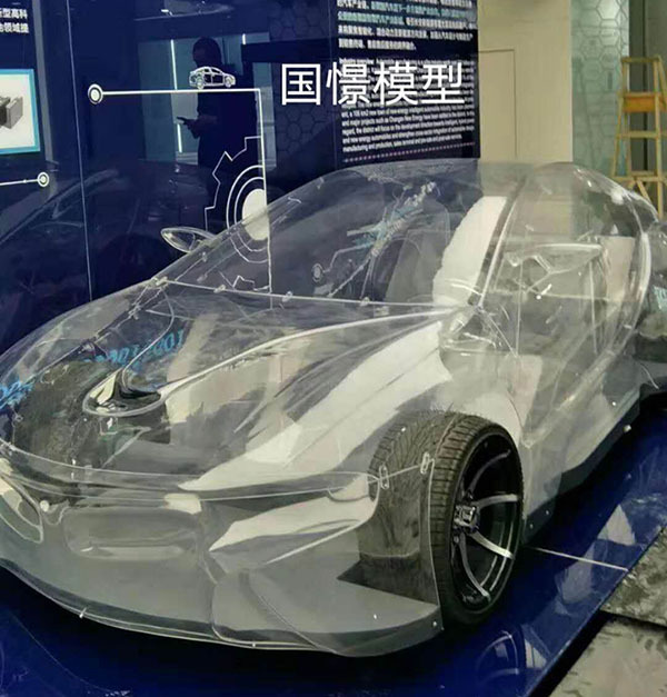 定日县透明车模型